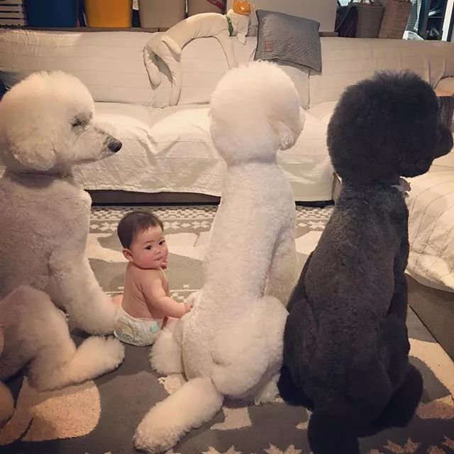 狗真的懂得谦让小孩子吗？-2.jpeg