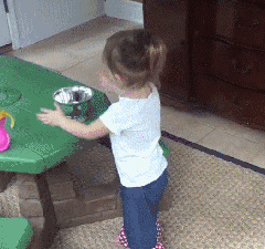狗真的懂得谦让小孩子吗？-4.gif