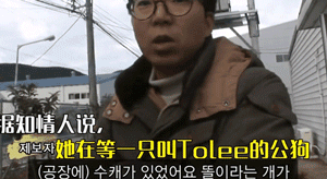 怀孕狗妈妈不知狗爸爸已经离世，每天在老地方苦苦等候......-2.gif