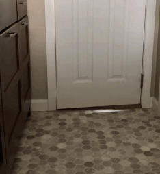 如何惹一只大金毛生气？-15.gif