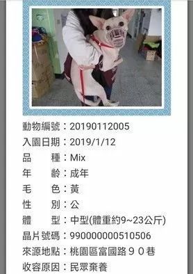 主人含泪弃养狗狗，两小时后哭着找回：对不起......-2.jpeg