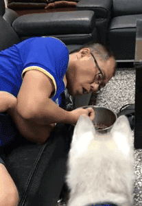 为了让狗子多吃一点，主人把整个脸埋进了狗粮盆....-1.gif