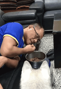 为了让狗子多吃一点，主人把整个脸埋进了狗粮盆....-3.gif
