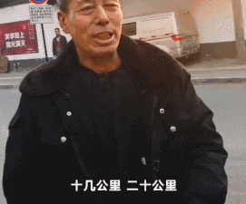 男子训练狗狗拉人，称一辆宝马都不换，网友：您可省省吧......-2.gif