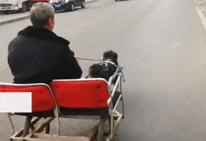 男子训练狗狗拉人，称一辆宝马都不换，网友：您可省省吧......-1.gif