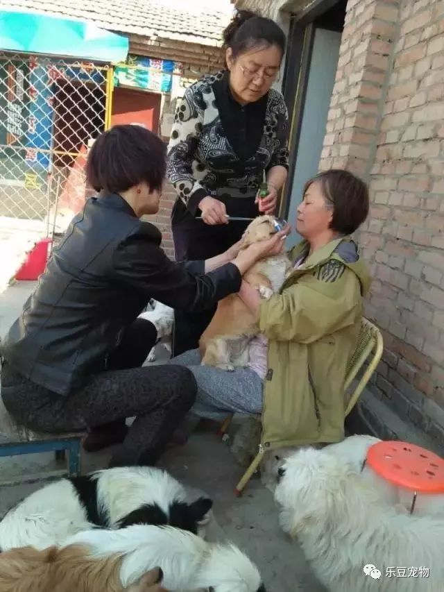 它才出生三个月，就被狠心教师扔下了楼，被救时的模样让人心疼！-11.jpeg