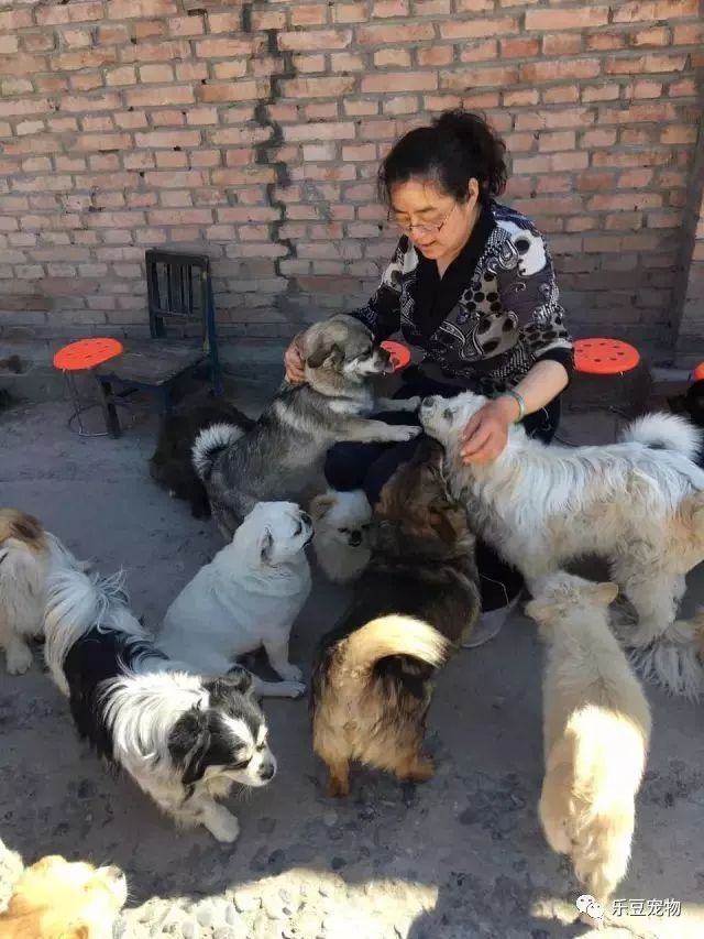 它才出生三个月，就被狠心教师扔下了楼，被救时的模样让人心疼！-8.jpeg