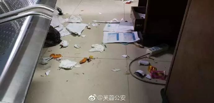 民警收留走失二哈，成果这货拆了派出所，值班民警：想报警...-3.jpeg