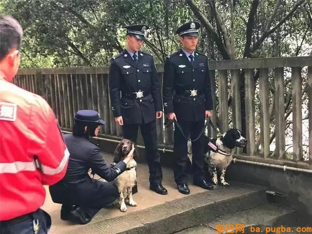 搜救犬救灾时身中剧毒，但它仍坚持完成了最后一次救援……-1.jpeg