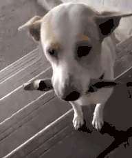 2018年那些让人难忘画面，看完被暖哭...-4.gif