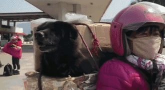 2018年那些让人难忘画面，看完被暖哭...-3.gif