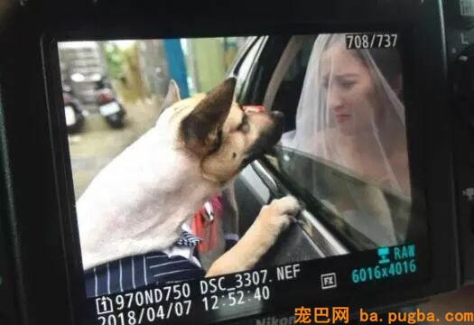2018年那些让人难忘画面，看完被暖哭...-6.jpeg