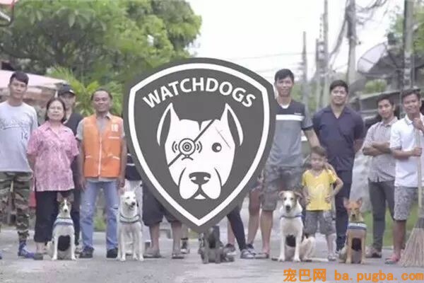 为了让更多人承受漂泊狗，泰国政府想出了这样一个法子！-12.jpeg