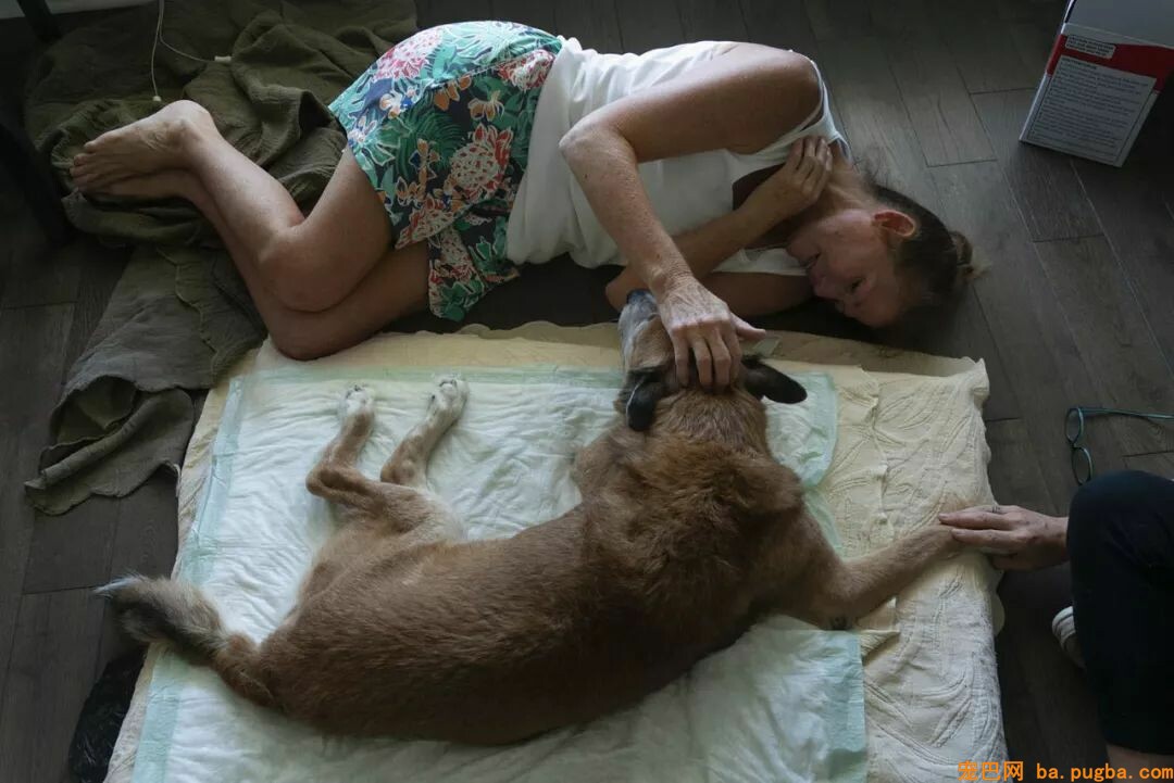 偶尔在街景地图上看到本人的狗狗，主人泪崩：你在天堂还好吗…-9.jpeg
