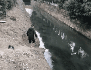 暖心！怀孕狗妈妈被困河中，小哥跳入冰凉河水中救助！-4.gif