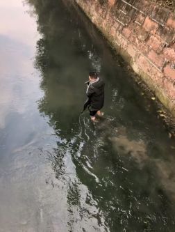 暖心！怀孕狗妈妈被困河中，小哥跳入冰凉河水中救助！-5.jpeg