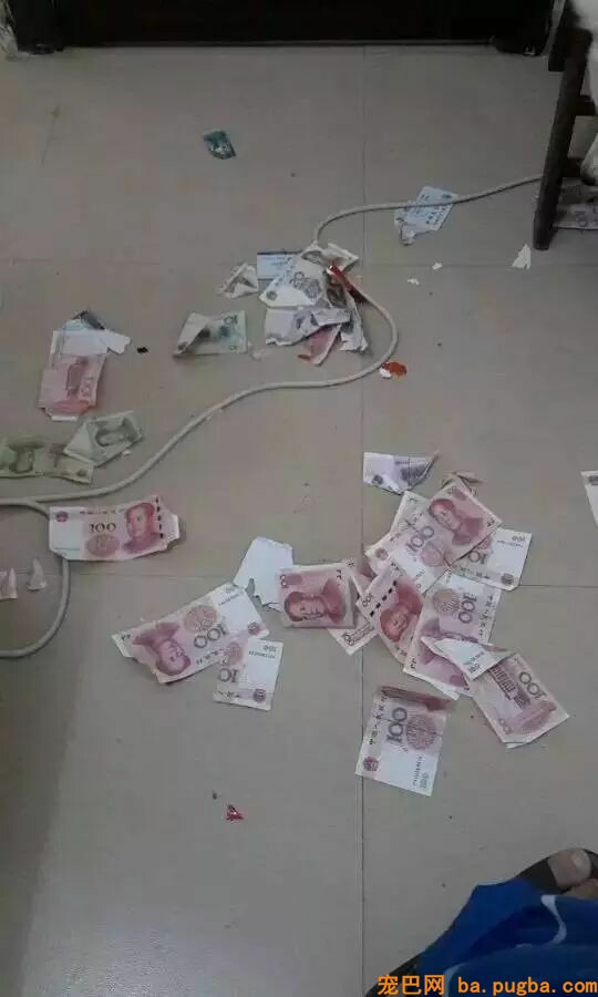 二哈是拆迁队长？怕是你没养过萨摩吧……-15.jpeg