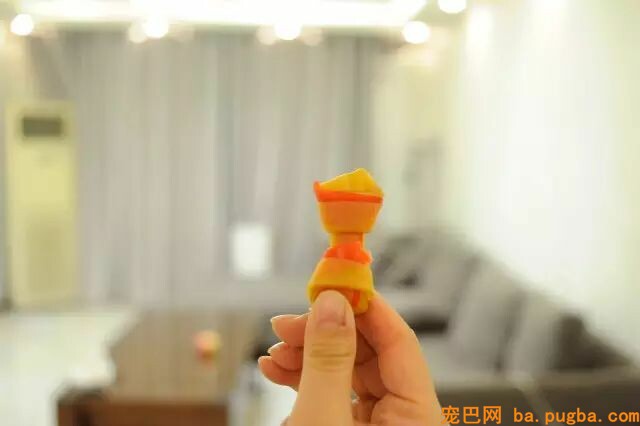 二哈是拆迁队长？怕是你没养过萨摩吧……-27.jpeg