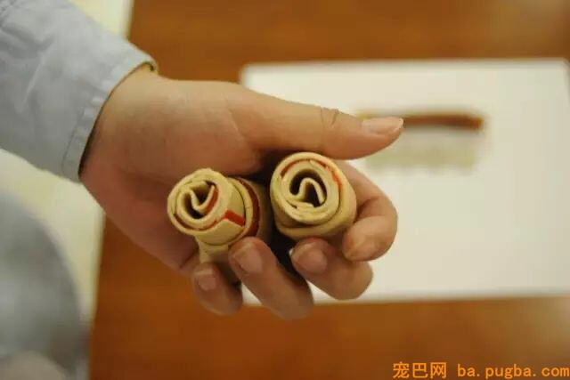 二哈是拆迁队长？怕是你没养过萨摩吧……-22.jpeg