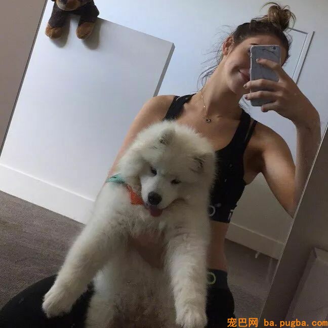 狗狗小时候不要总抱它，不然它会以为本人是长在你身上的！-6.jpeg