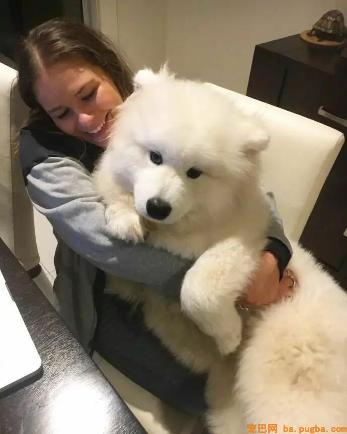 狗狗小时候不要总抱它，不然它会以为本人是长在你身上的！-10.jpeg