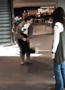 出差的主人终于回家了，狗狗开心成“龙卷风”！-6.gif