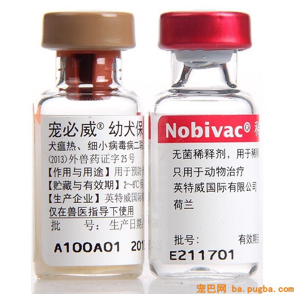英特威