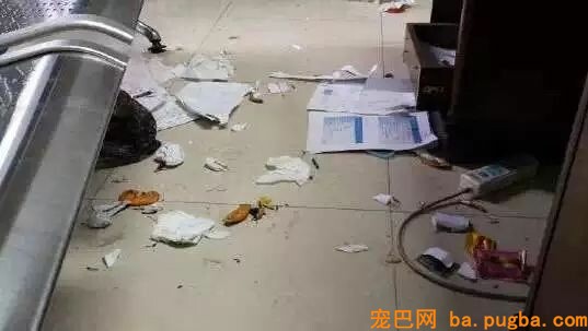迷路二哈把派出所拆了……民警无奈：我要报警！-2.jpeg