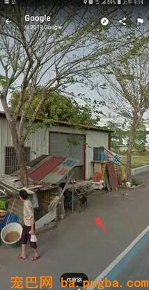 老奶奶忘记回家的路，直到看到街景地图中自家的狗狗……-3.jpeg