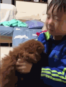 小男孩不小心压倒了泰迪，赶紧抱在怀里抚慰：对不起，对不起……-3.gif