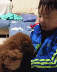 小男孩不小心压倒了泰迪，赶紧抱在怀里抚慰：对不起，对不起……-2.gif