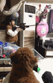 小男孩不小心压倒了泰迪，赶紧抱在怀里抚慰：对不起，对不起……-6.gif