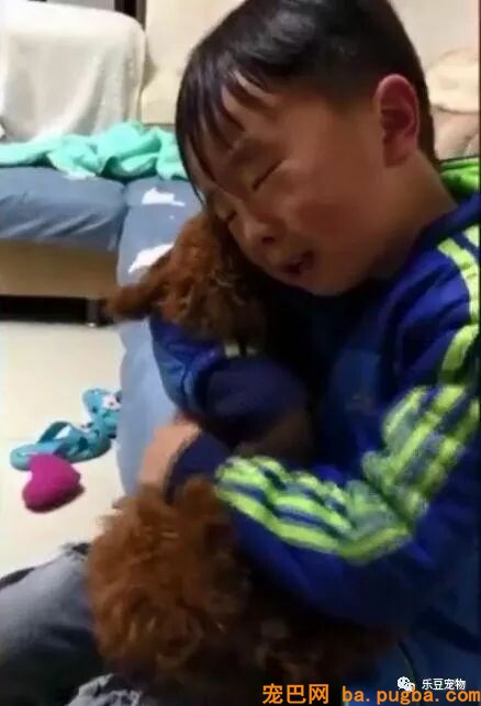 小男孩不小心压倒了泰迪，赶紧抱在怀里抚慰：对不起，对不起……-4.jpeg