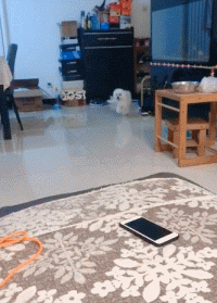 生病躺了一天，被狗子的这个举动，给暖到立马痊愈！-5.gif