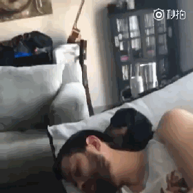 生病躺了一天，被狗子的这个举动，给暖到立马痊愈！-9.gif