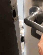 生病躺了一天，被狗子的这个举动，给暖到立马痊愈！-13.gif