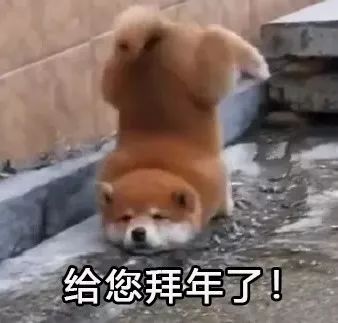 过年期间，用生命在贺年超火小柴宝，终于成功逆袭...-3.jpeg