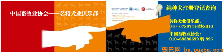 中国畜牧业协会-名将犬业俱乐部.png