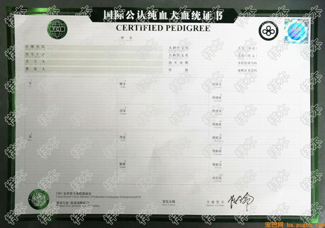 你家买的狗到底值不值？中招的不仅是你……-17.jpeg