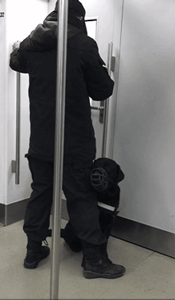 警犬上班期间向同事撒娇讨摸摸，成果萌翻了一片网友！-9.gif