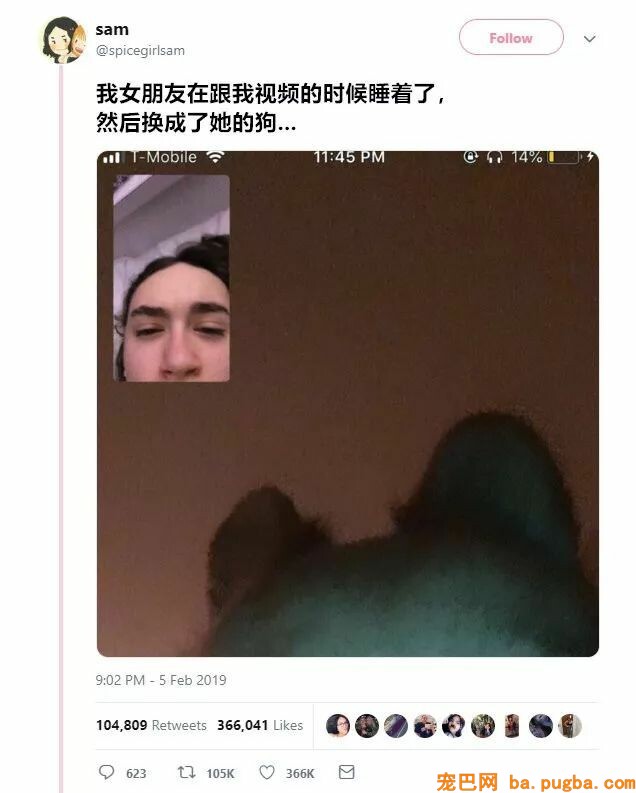 小哥和女友视频聊天，成果画面里呈现了一只狗？-1.jpeg