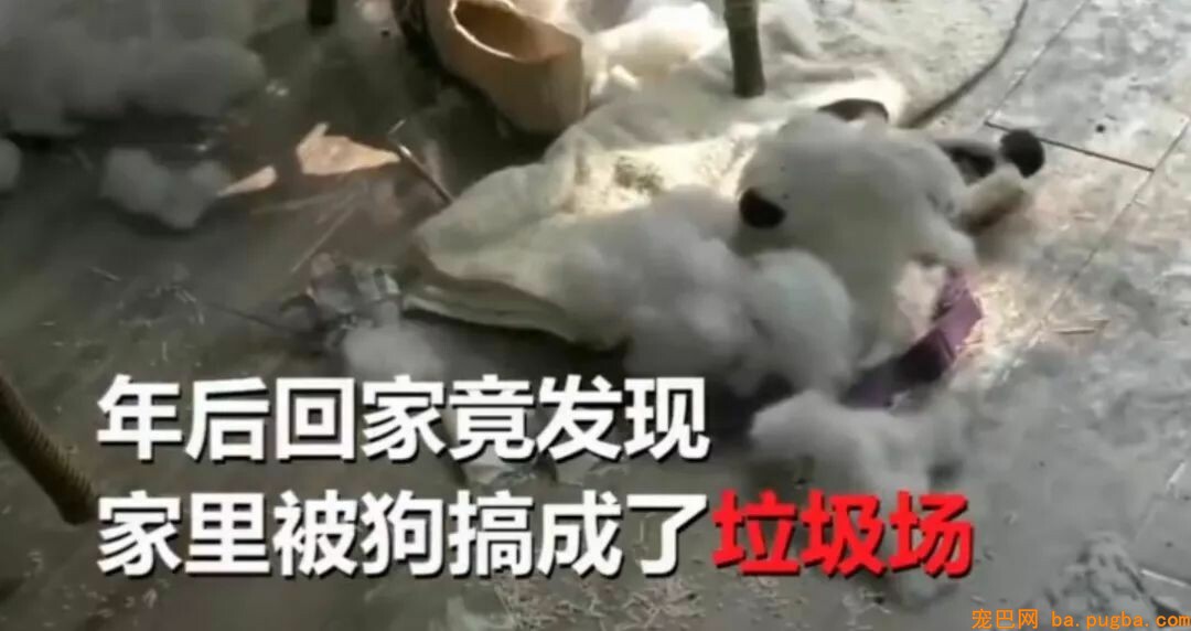 网友节后回家家中变垃圾场，二哈：怪我喽？-2.jpeg
