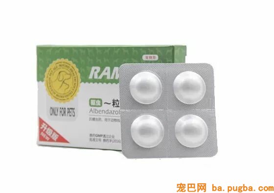 狗狗追着救护车跑了N个路口：车上的漂泊汉，和你是什么关系？-8.jpeg