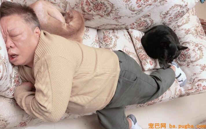 为了跟狗孙女睡同一张床，爷爷的睡姿崩坏了！-1.jpeg