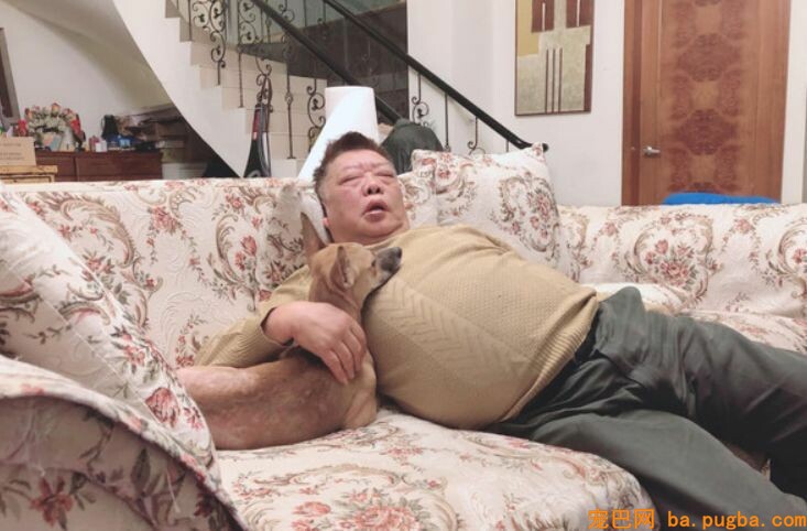为了跟狗孙女睡同一张床，爷爷的睡姿崩坏了！-3.jpeg