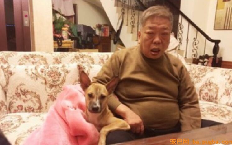 为了跟狗孙女睡同一张床，爷爷的睡姿崩坏了！-5.jpeg