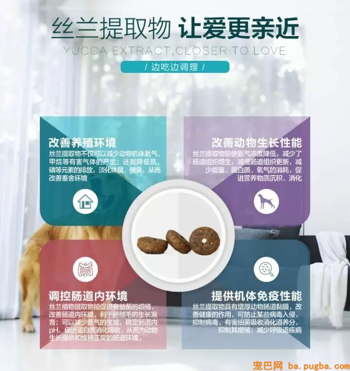 狗狗身上有异味？其实是这几个部位搞的鬼！-14.jpeg
