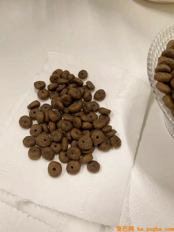 狗狗身上有异味？其实是这几个部位搞的鬼！-16.jpeg