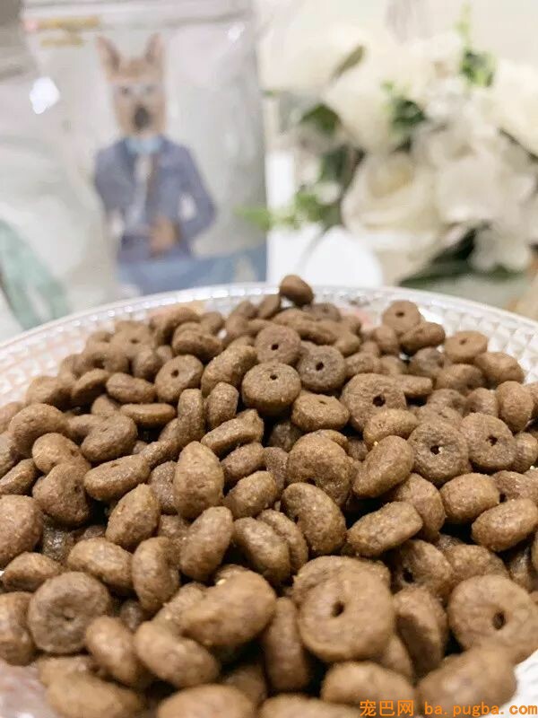 狗狗身上有异味？其实是这几个部位搞的鬼！-21.jpeg
