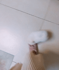 狗狗因为睡觉太死，成果被...-10.gif